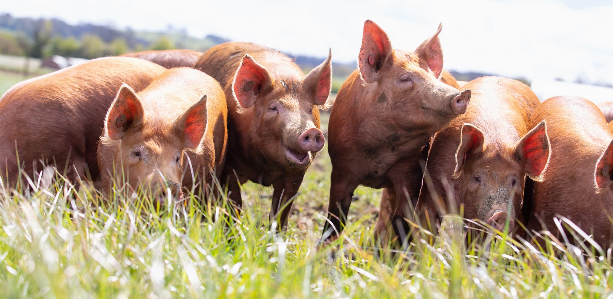 Raising life to thrive